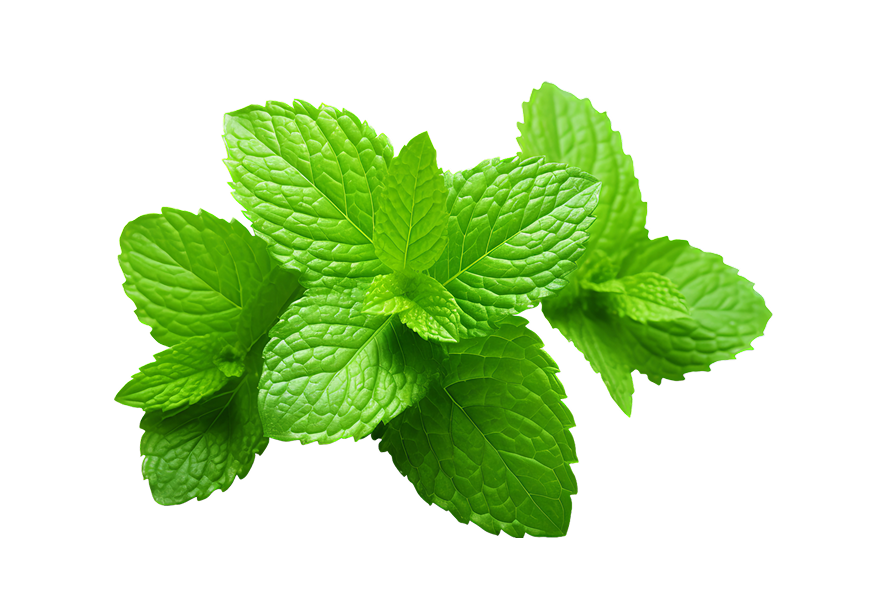 peppermint