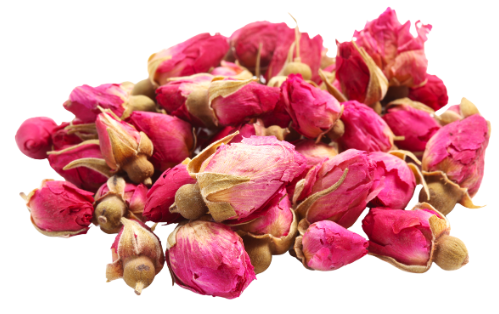 Rose buds
